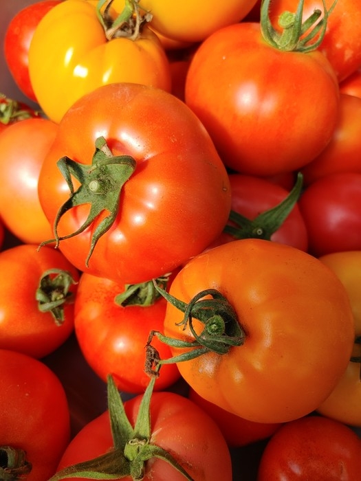 Tomates rouges 500 grammes