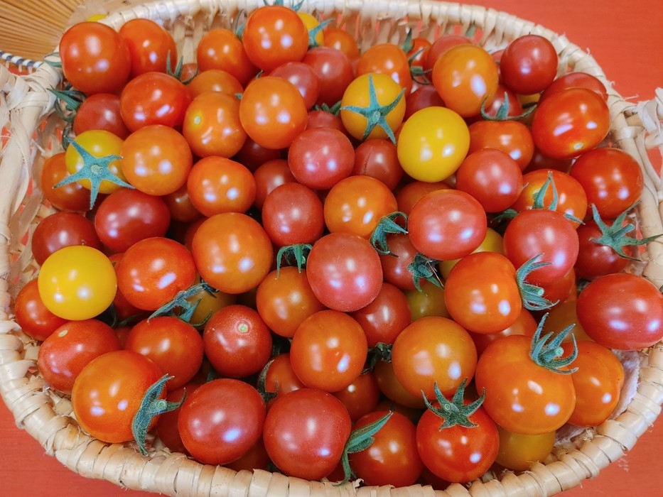 Tomates cerises 300 grammes