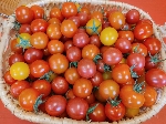 Tomates cerises 300 grammes